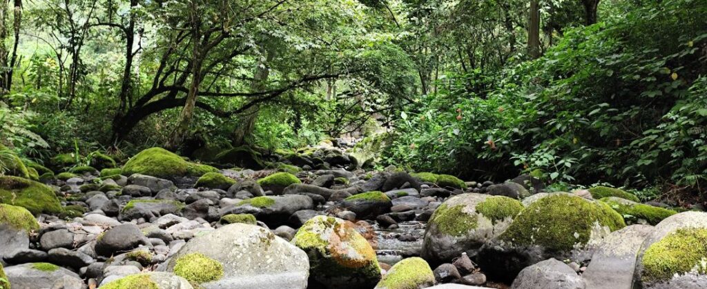 Río Pixquiac