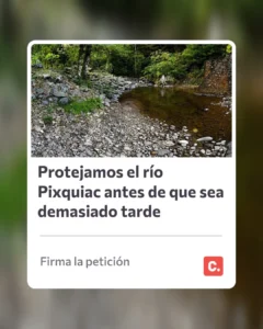 Enlace hacia la petición a favor del río pixquiac