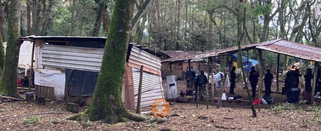 Nuevas invasiones en Sierra Alta: En riesgo el bosque de niebla
