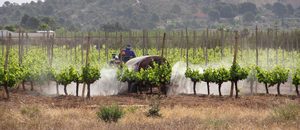 un tractor fumigando un campo en méxico